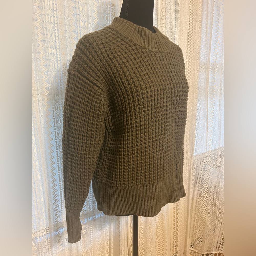Everlane Olive Wool & Cashmere Sweater